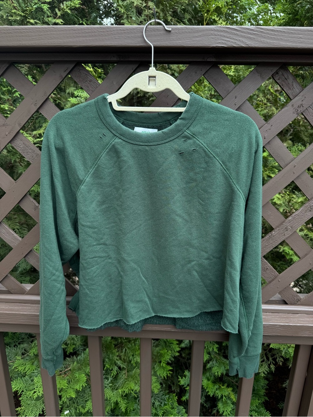 Aerie Forest Green Distressed Cropped Crew Sweatshirt